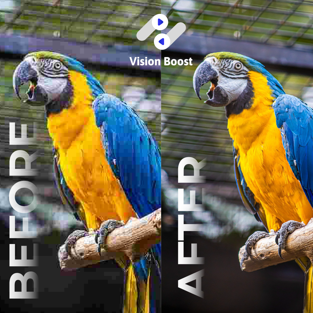 Parrot image quality comparison.